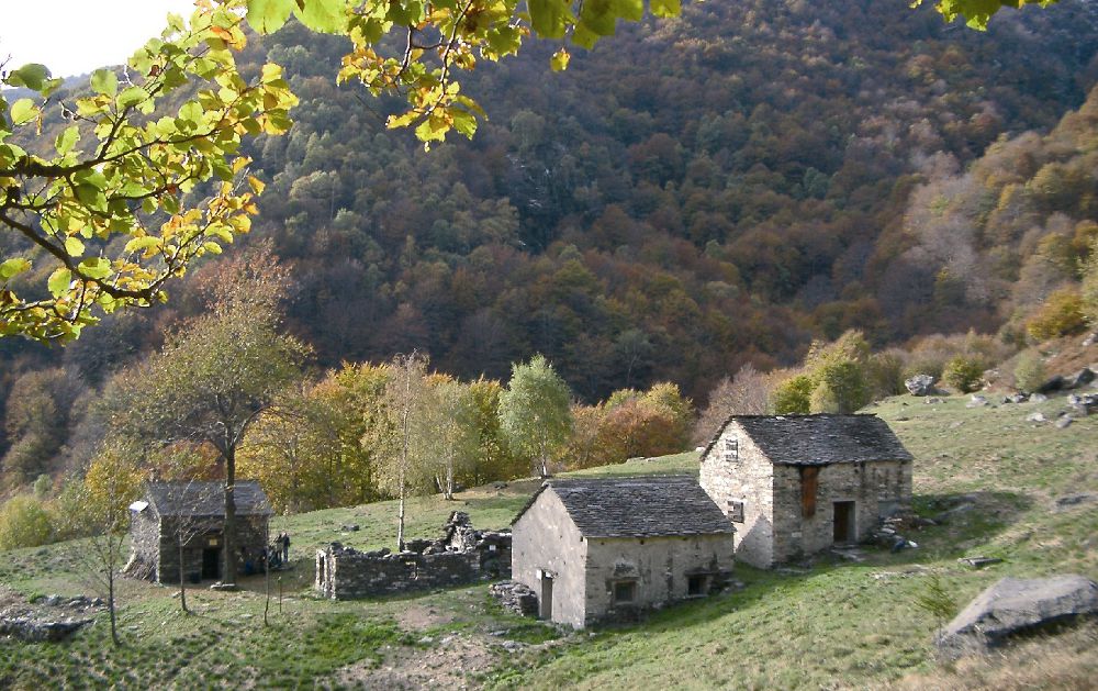 Campi Biodiversi auf der Alpe Pian di Boit